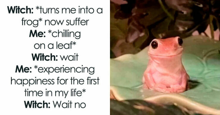 Chaotic, Hilarious, And Questionable Posts Chaotic, Hilarious, And Questionable Posts