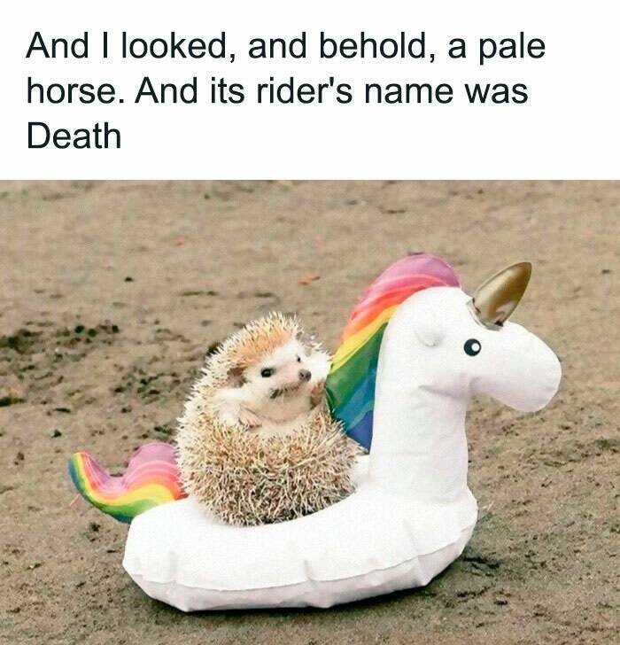 Chaotic, Hilarious, And Questionable Posts