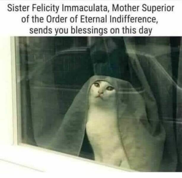 Classical Art Meets Memes Classical Art Meets Memes