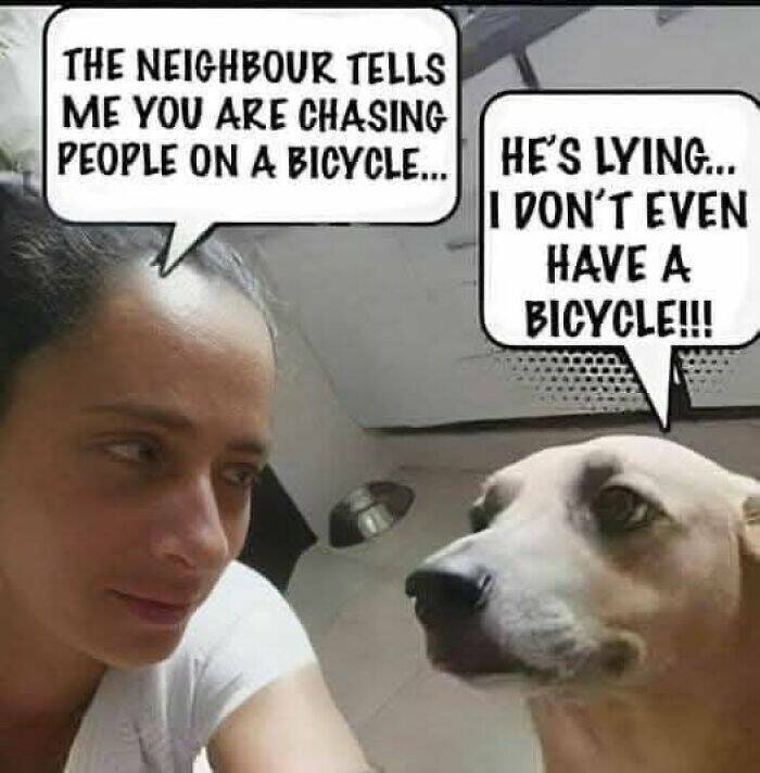 Dad Jokes So Bad, They’re Hilarious Dad Jokes So Bad, They’re Hilarious