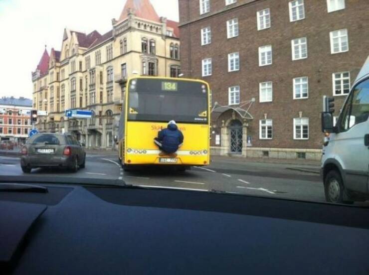 Daily Picdump Daily Picdump