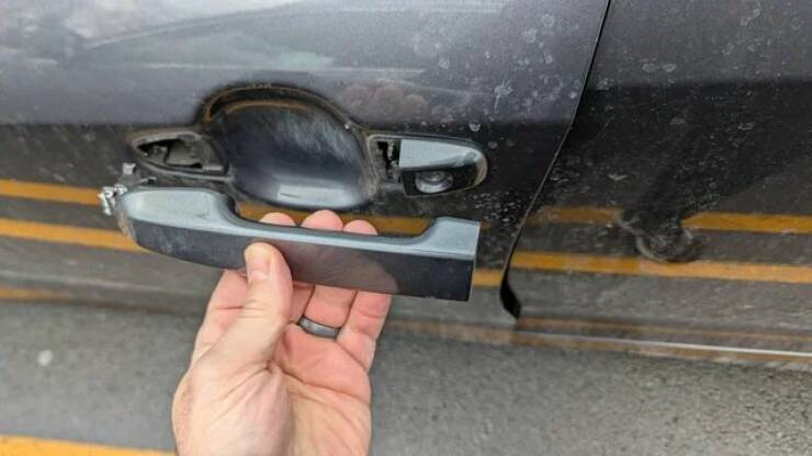 Daily Picdump Daily Picdump