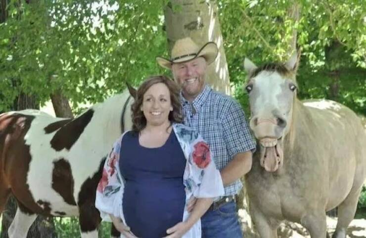 Daily Picdump Daily Picdump