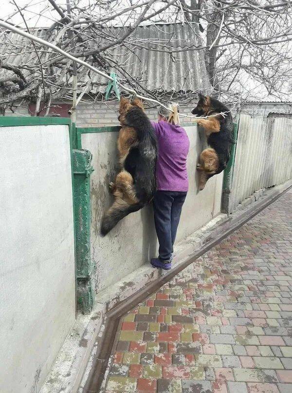 Daily Picdump Daily Picdump