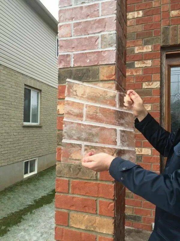 Daily Picdump Daily Picdump