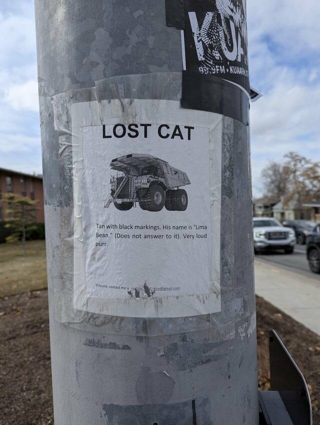 Mildly Interesting But Totally Worth A Look
