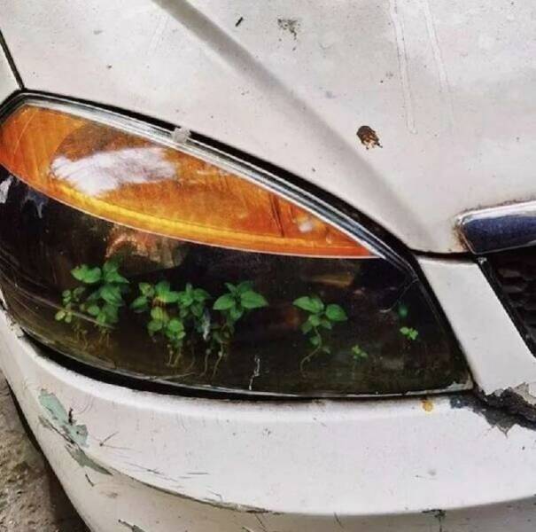Morning Picdump