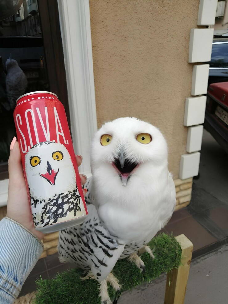 Morning Picdump