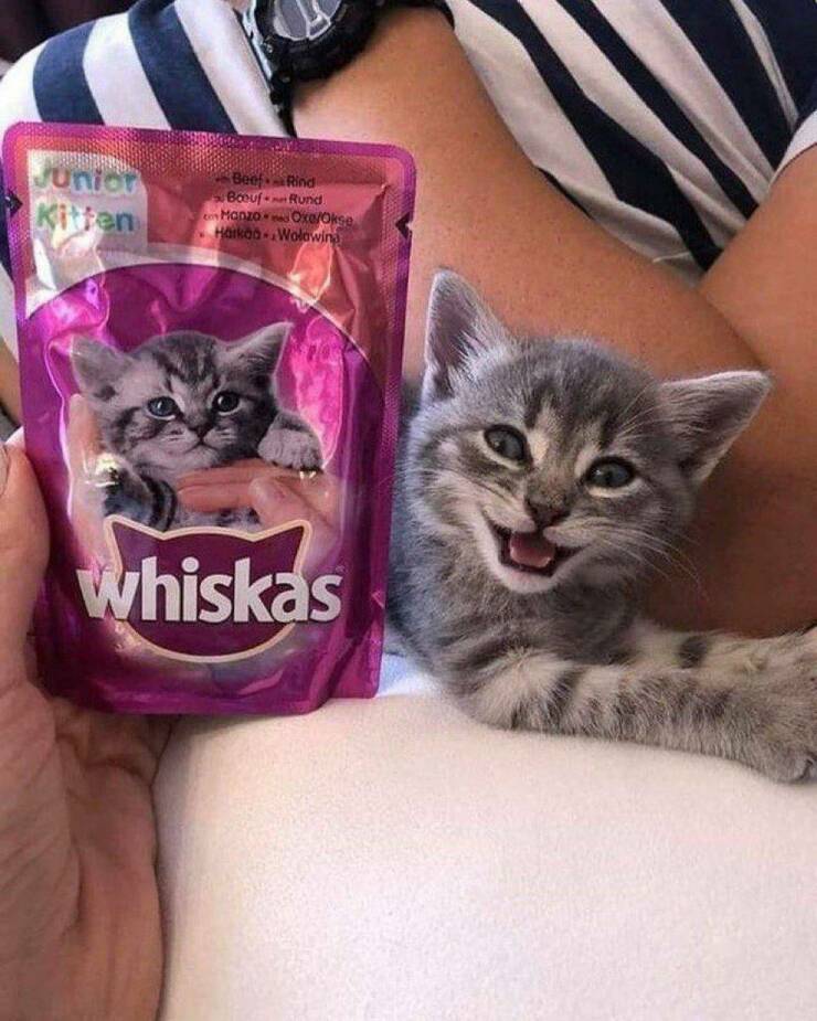 Morning Picdump Morning Picdump