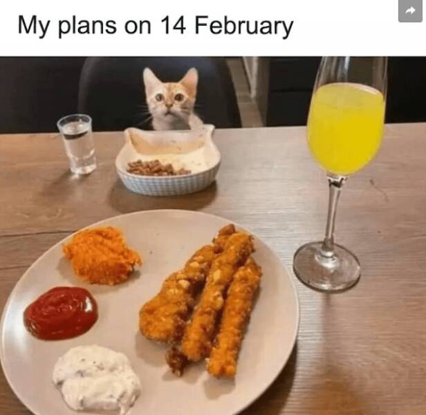 Surviving Valentine’s Day with Humor Surviving Valentine’s Day with Humor