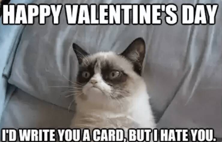 Surviving Valentine’s Day with Humor Surviving Valentine’s Day with Humor