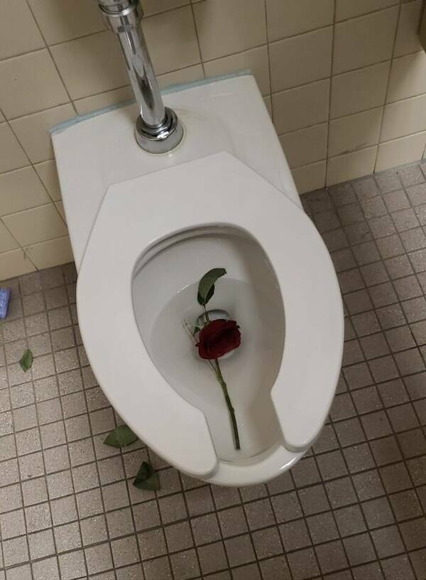 Surviving Valentine’s Day with Humor Surviving Valentine’s Day with Humor