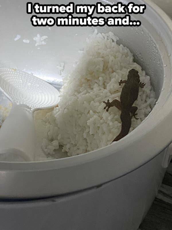 When Bad Days Strike When Bad Days Strike