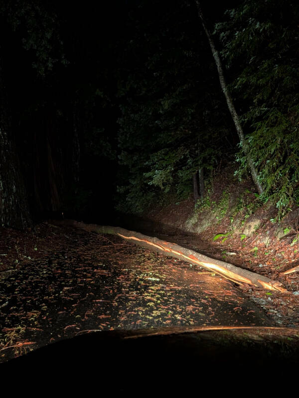 When Bad Days Strike When Bad Days Strike