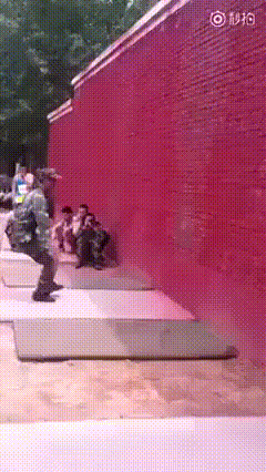 Daily Gifdump