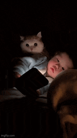 Daily Gifdump Daily Gifdump