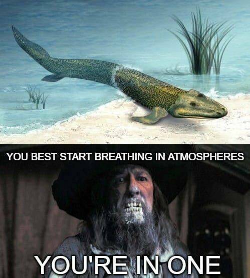 Jack Sparrows Meme Treasure