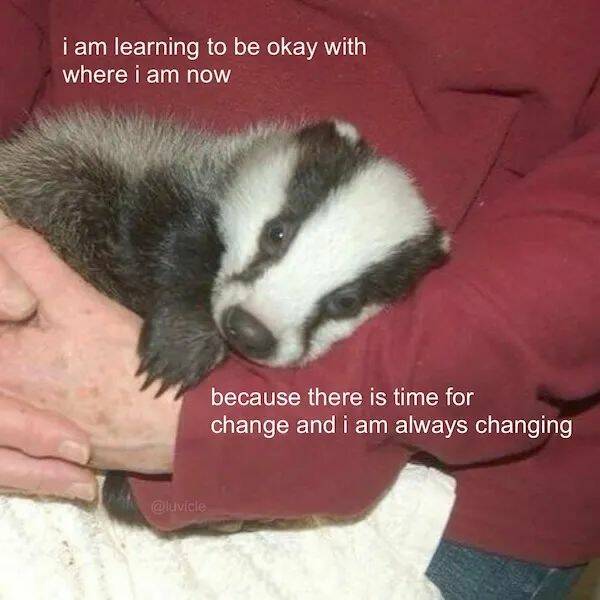 Unstoppable Waves Of Positivity