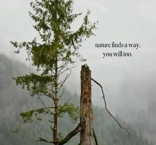 Unstoppable Waves Of Positivity