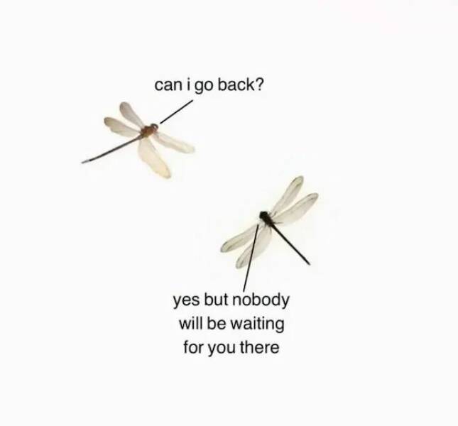 Unstoppable Waves Of Positivity