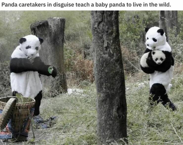 Unstoppable Waves Of Positivity