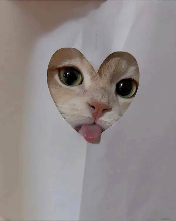 Unstoppable Waves Of Positivity