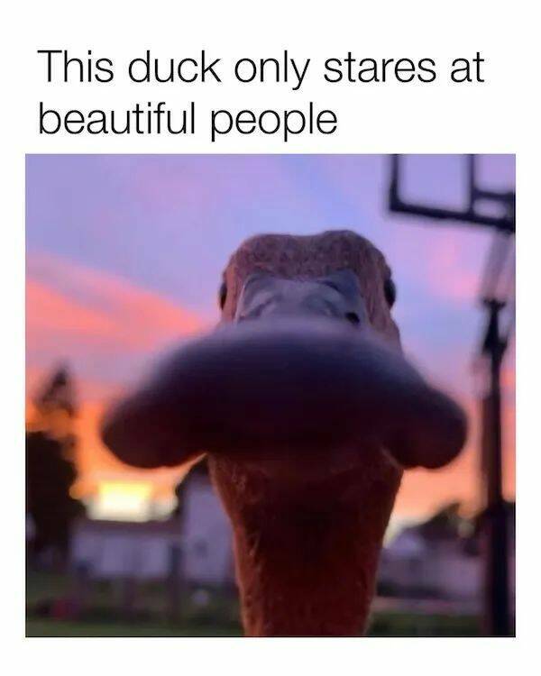 Unstoppable Waves Of Positivity