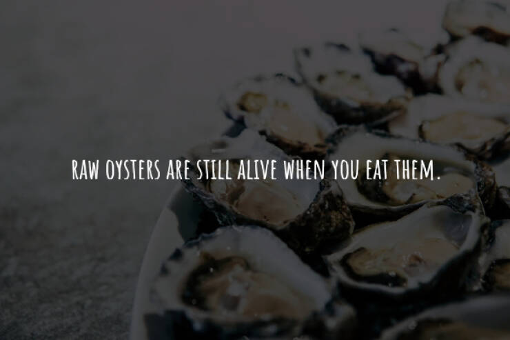 Creepy Facts You Can’t Unknow