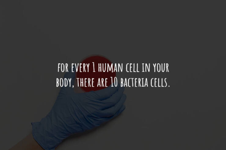 Creepy Facts You Can’t Unknow