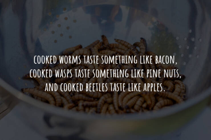 Creepy Facts You Can’t Unknow