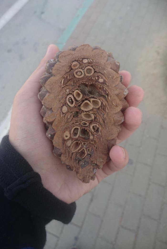 Fascinating Photos That Showcase The Wonders Of Our World