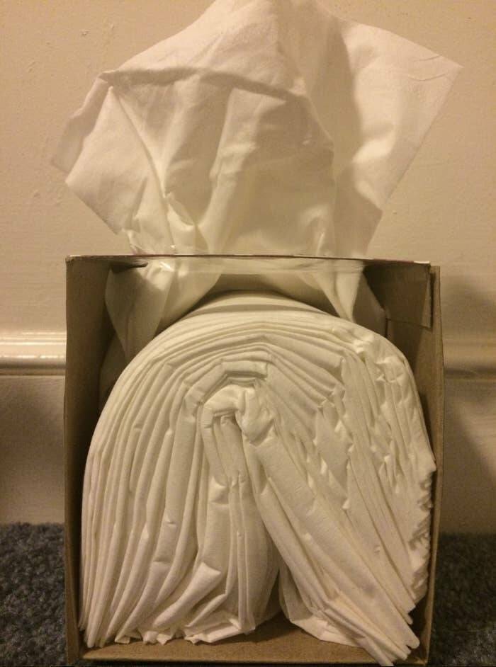 Fascinating Photos That Showcase The Wonders Of Our World