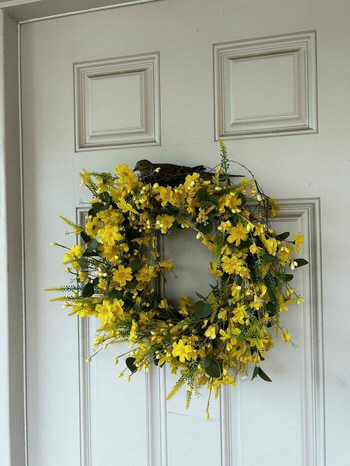 Hilarious Pics Of Birds Causing Chaos