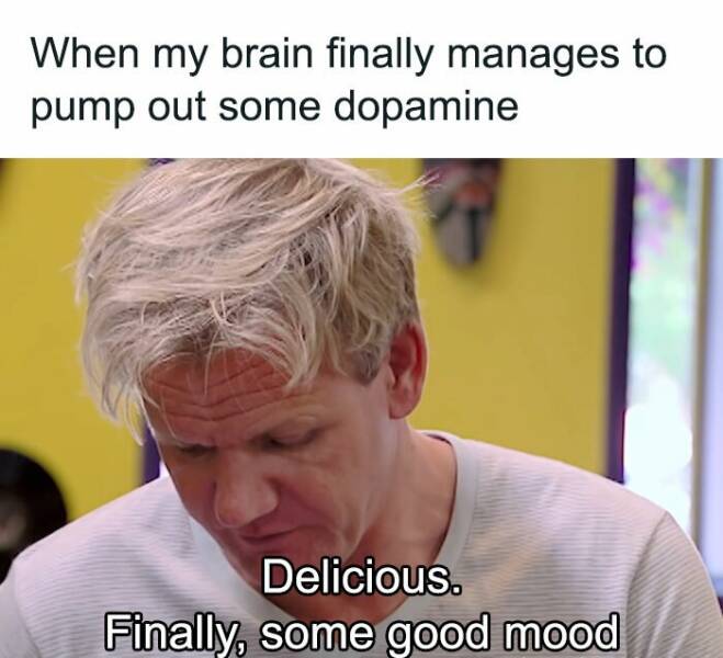 Memes So Relatable, It Hurts Memes So Relatable, It Hurts