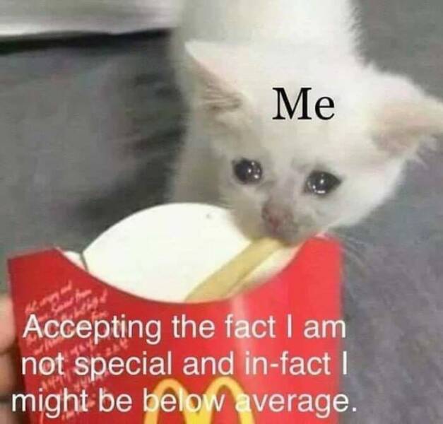 Memes So Relatable, It Hurts Memes So Relatable, It Hurts