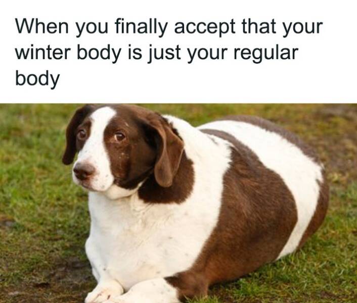 Memes So Relatable, It Hurts