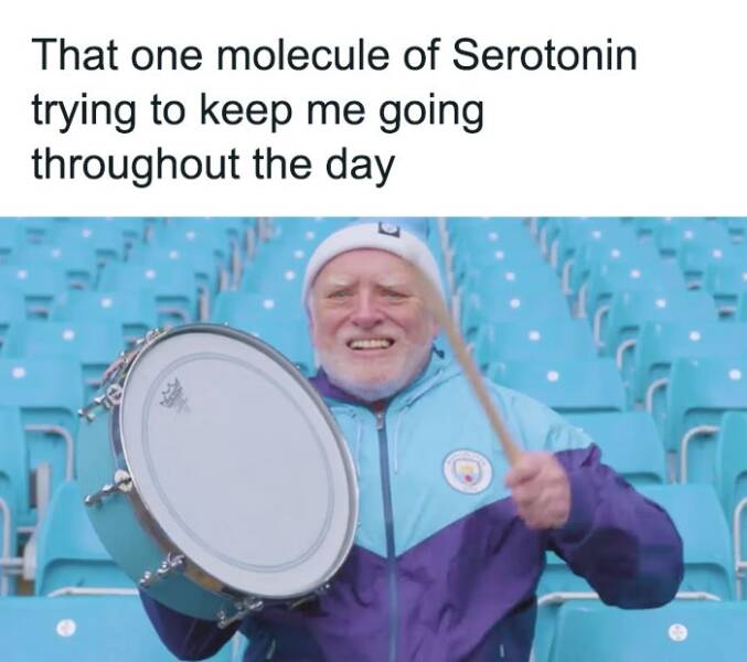 Memes So Relatable, It Hurts