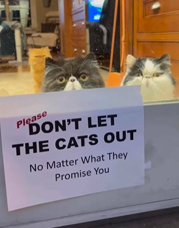 When Creativity Goes Too Far – Hilarious Signs