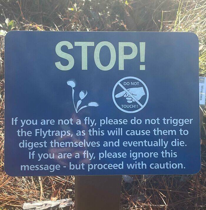 When Creativity Goes Too Far – Hilarious Signs