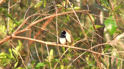 Random Facts To Share With Friends