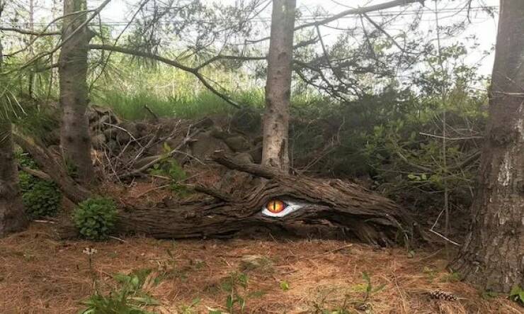 Daily Picdump Daily Picdump