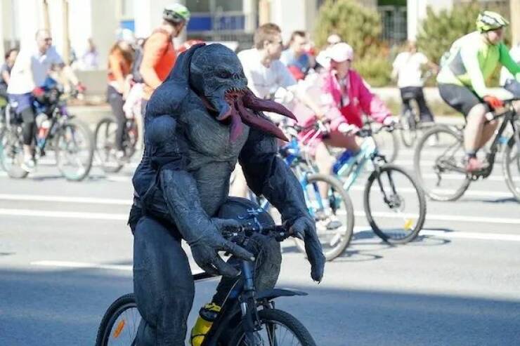 Daily Picdump Daily Picdump