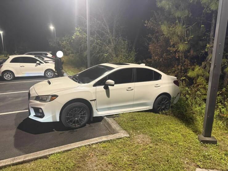 Daily Picdump Daily Picdump