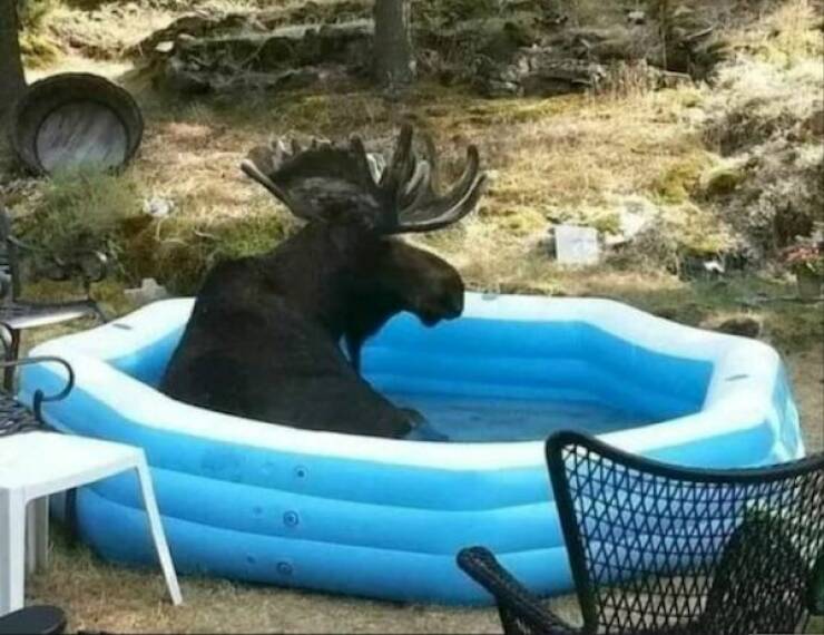 Daily Picdump Daily Picdump