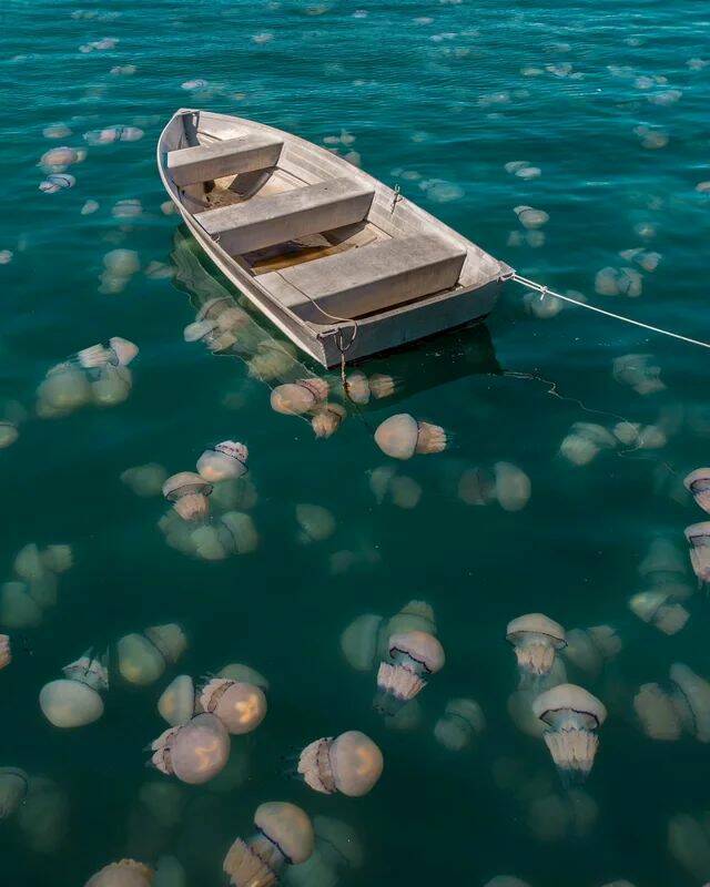 Daily Picdump Daily Picdump