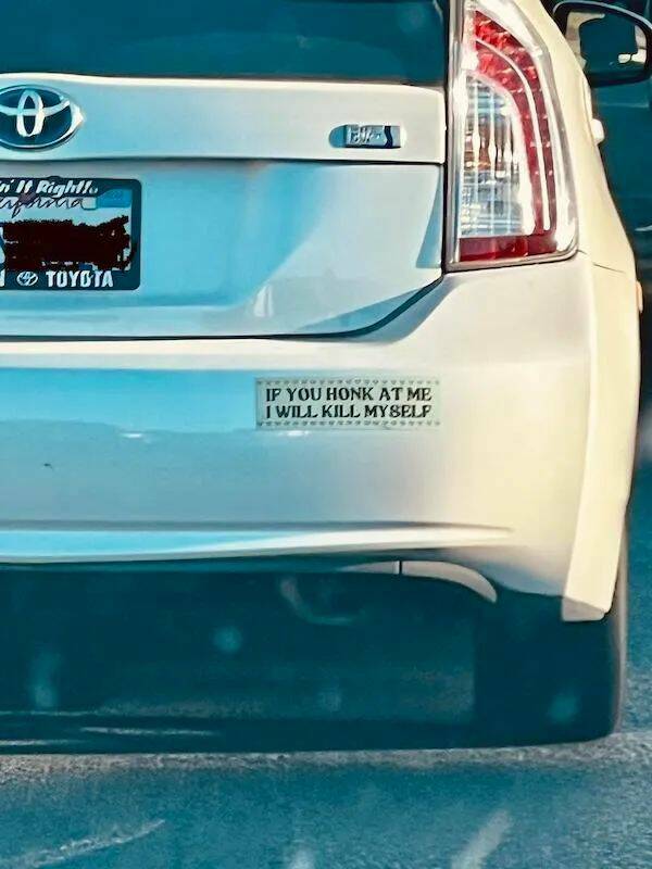 Daily Picdump Daily Picdump