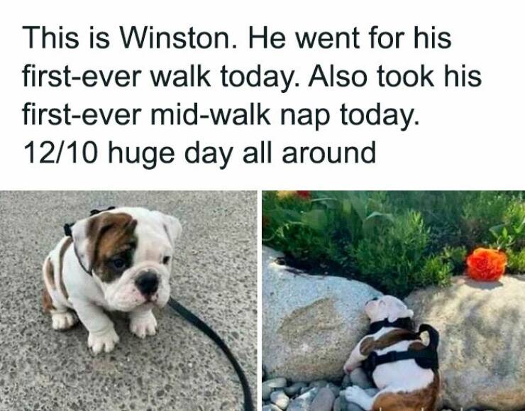 Feel-Good Memes To Lift Your Spirits