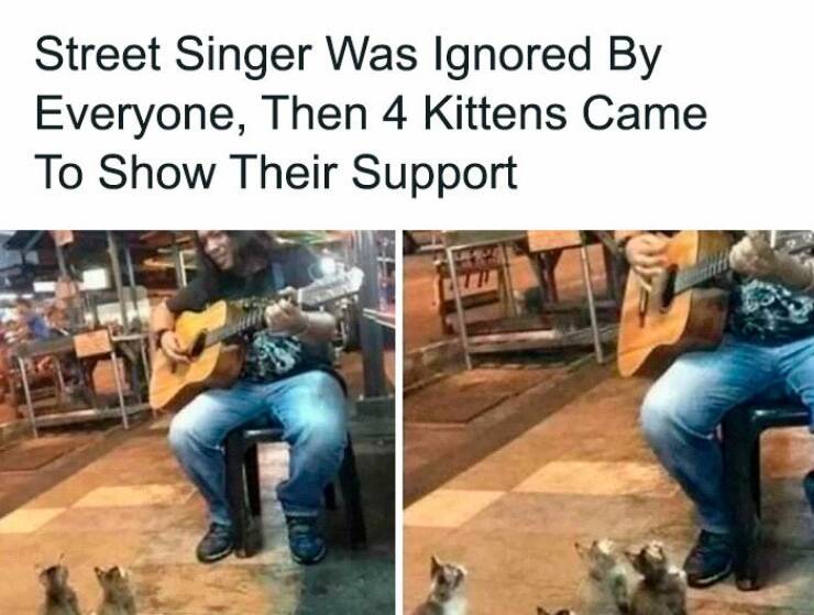 Feel-Good Memes To Lift Your Spirits