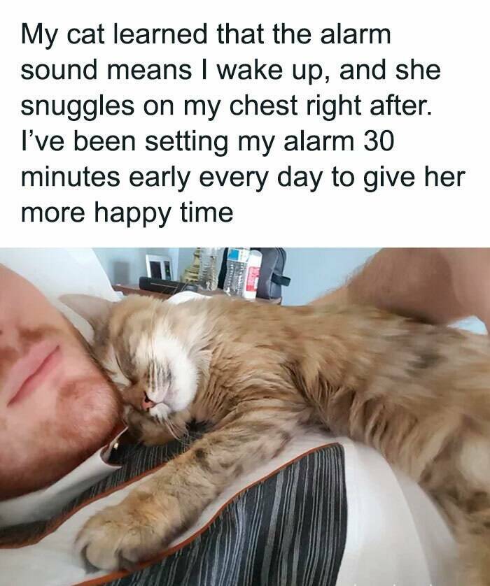 Feel-Good Memes To Lift Your Spirits