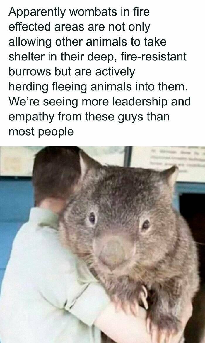 Feel-Good Memes To Lift Your Spirits